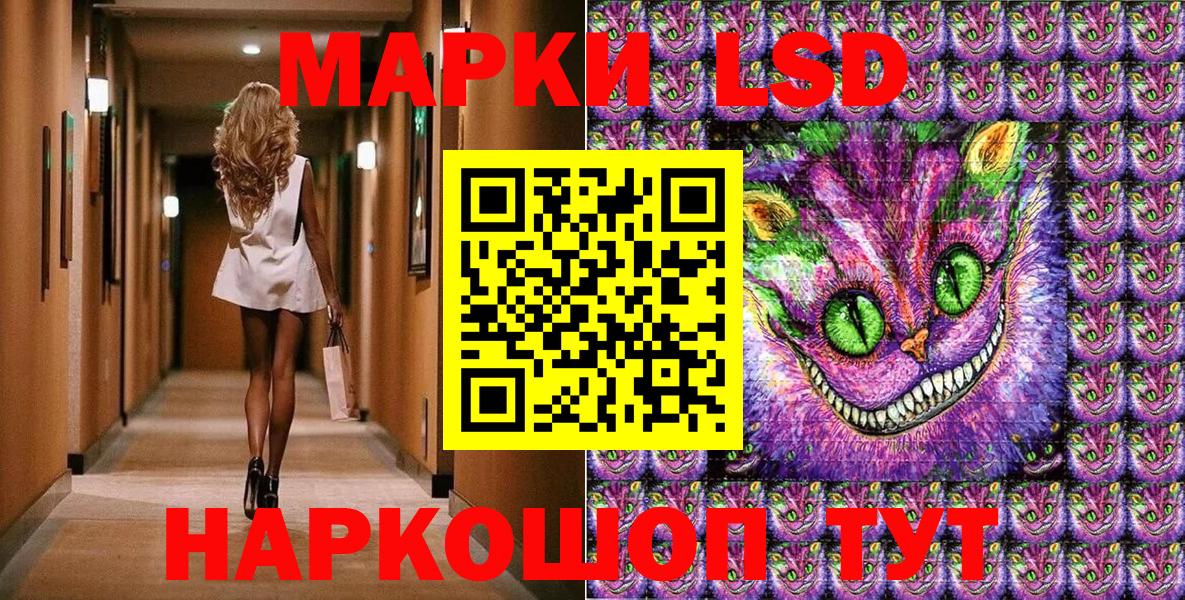 Прохладный  Наркотические марки 1500мкг  Наркотические марки 1500мкг  наркошоп  Вход с VPN 