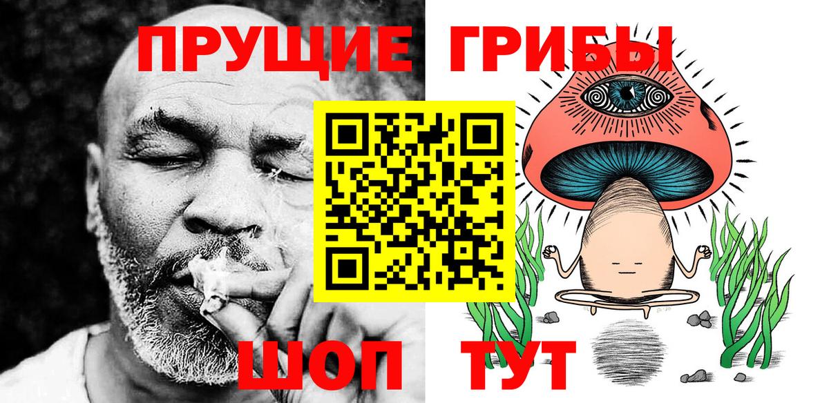 Прохладный  Псилоцибиновые грибы Cubensis  Вход с VPN 